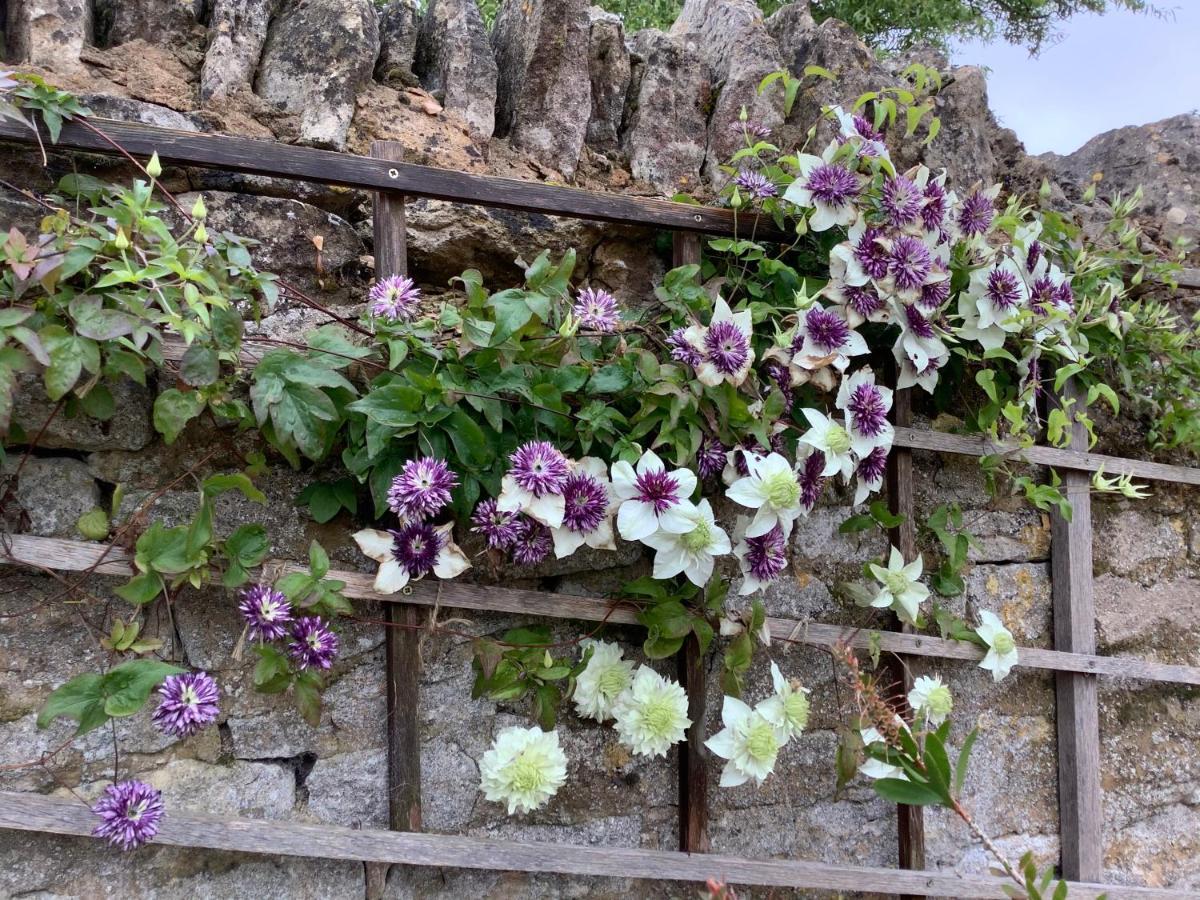 Hollyhock Cottage, Clematis Cottages, Stamford Eksteriør billede
