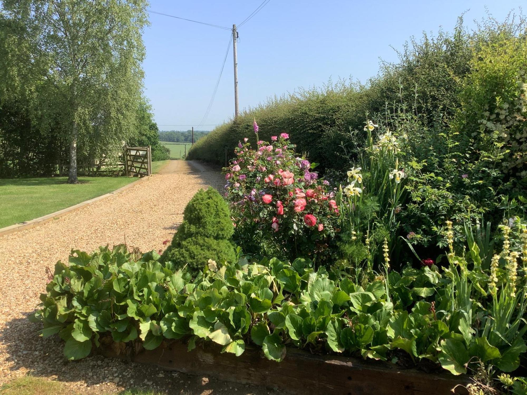 Hollyhock Cottage, Clematis Cottages, Stamford Eksteriør billede